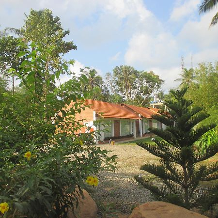 Bamboo Garden Resort Дуонг-Донг Экстерьер фото
