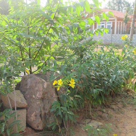 Bamboo Garden Resort Дуонг-Донг Экстерьер фото