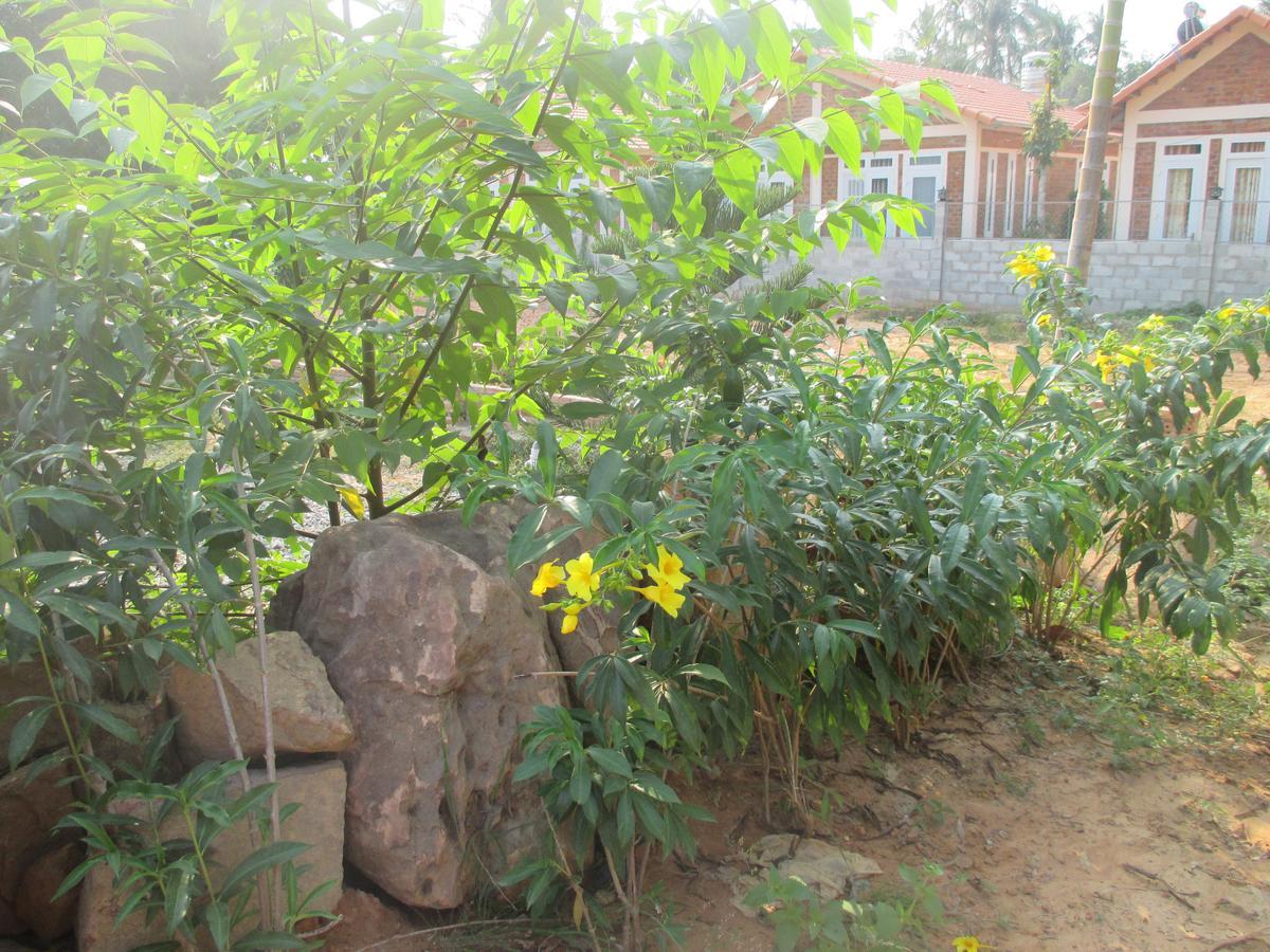 Bamboo Garden Resort Дуонг-Донг Экстерьер фото